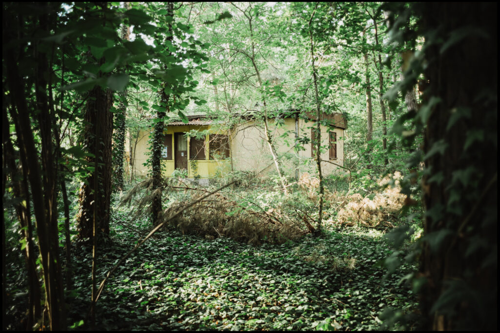 A faded yellow summer house almost completely hidden by dense forest undergrowth and ivy-covered trees, with sunlight filtering through the leaves.