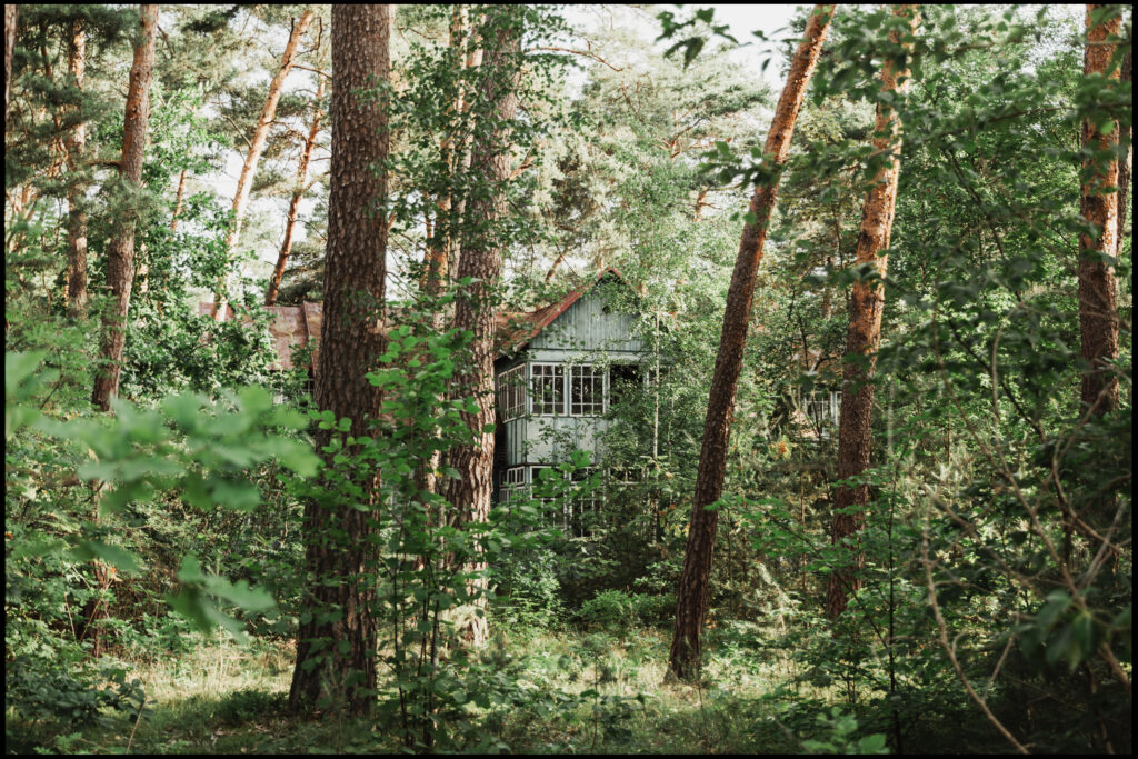 A pale blue wooden cottage with a large glassed-in porch, seen through a screen of tall pine trees in the Urle forest.