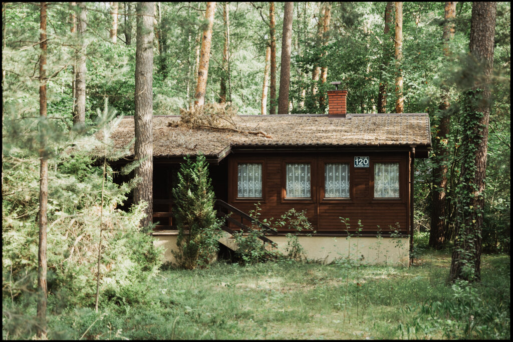 A classic Polish summer cottage made of dark wood, nestled among tall pine trees in the forest of Urle.