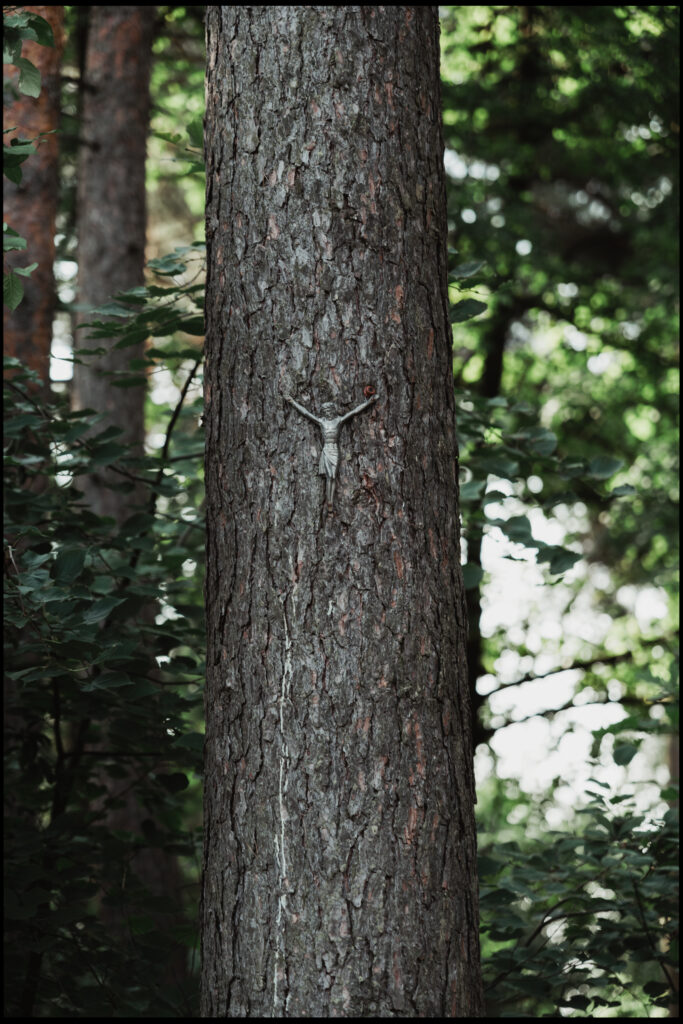 A small, silver crucifix nailed to the textured bark of a thick pine tree trunk in the middle of the woods, a sign of faith in the landscape.