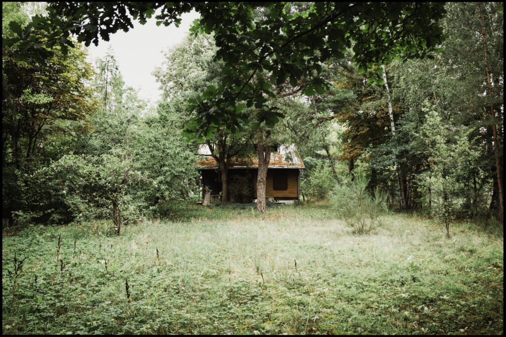 A distant view of a small, dark wooden cottage standing alone in the middle of a large, overgrown meadow surrounded by a dense forest.