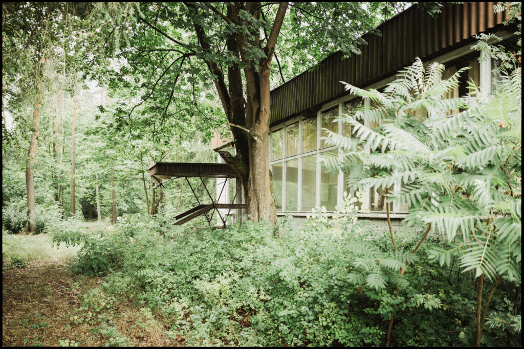 The side of a modernist-style summer building with a long wall of windows, a cantilevered roof, and bushes growing up against its facade.