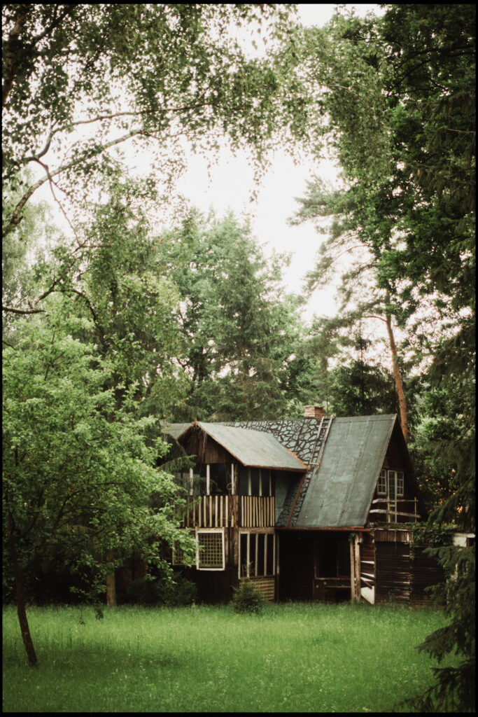 A large, eclectic wooden house with a mismatched tin roof, standing on an overgrown green lawn and framed by lush, leafy trees.