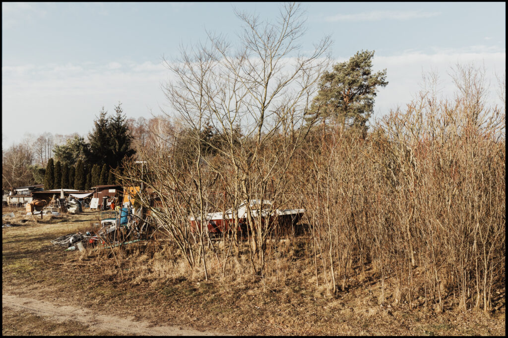 A cluttered rural backyard in winter, with a red boat overturned and abandoned in the middle of it, partially hidden behind dry, leafless bushes.