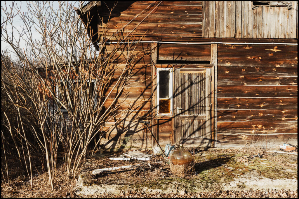 The sunlit, weathered wooden wall of an old barn or shed, with a vintage glass carboy and overgrown brush in the foreground.